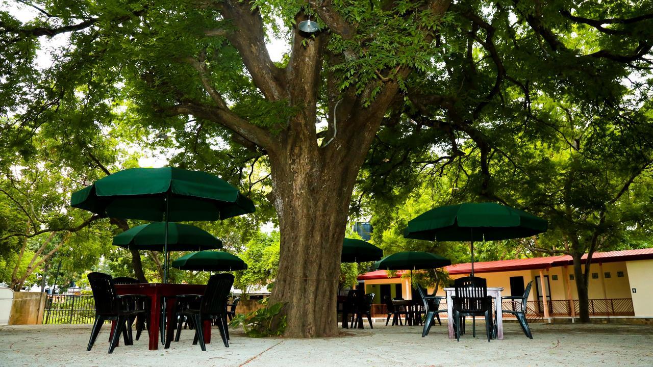 Malwathu Oya Caravan Park Bed & Breakfast Anuradhapura Exterior photo